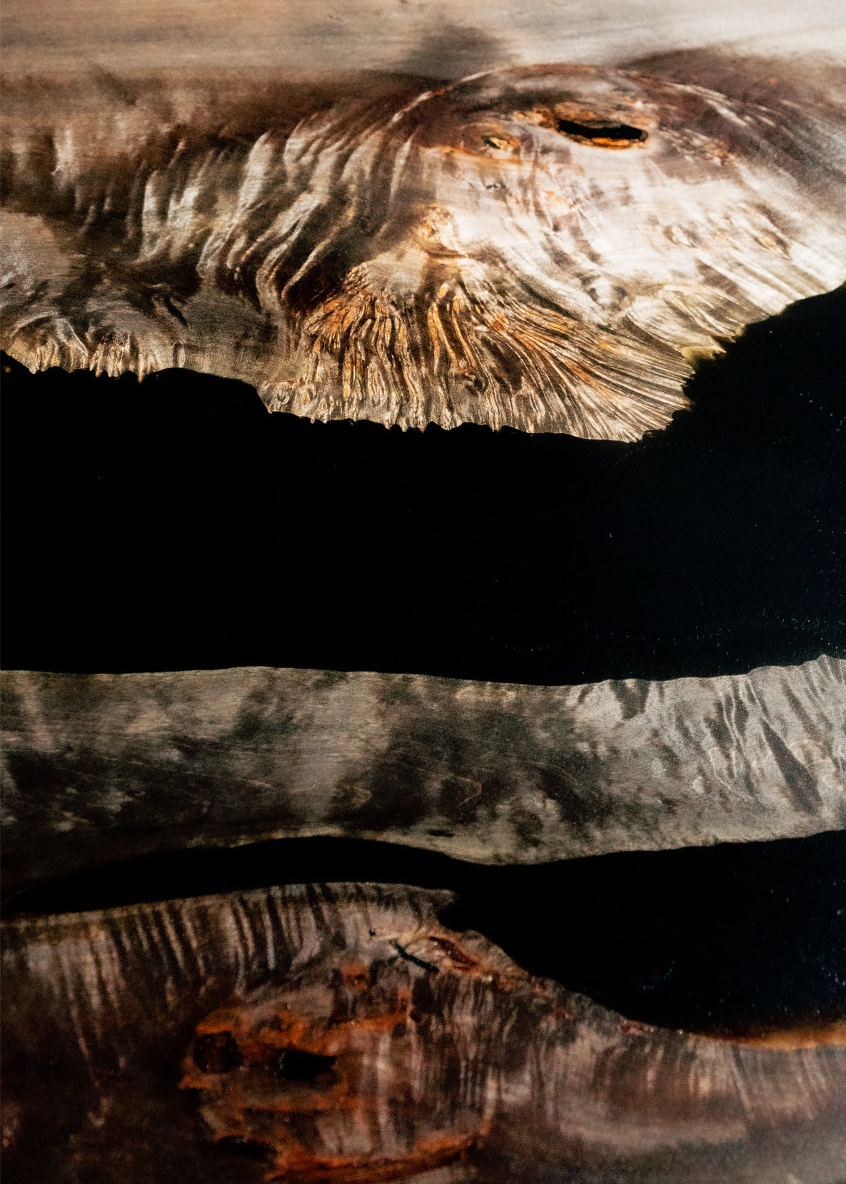 Live-Edge Walnut | Black Resin River Table