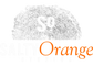 Salty Orange Studios - Home